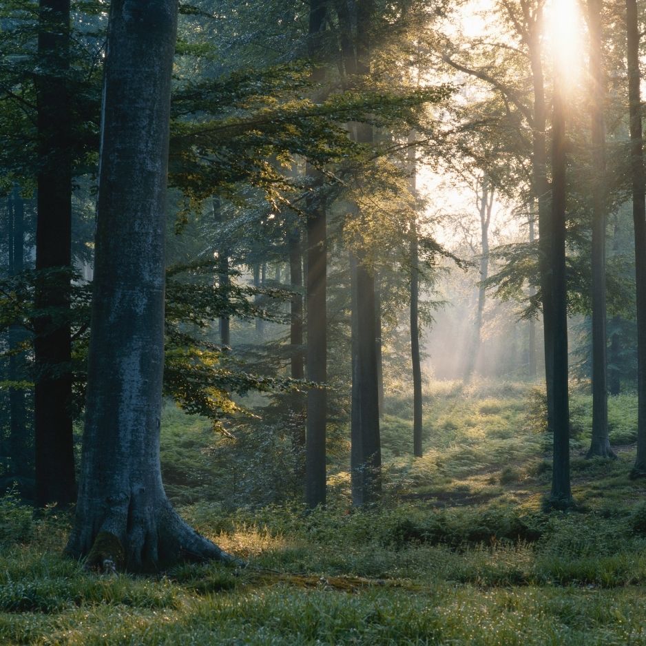 Ratkaisukeskeinen valmennus