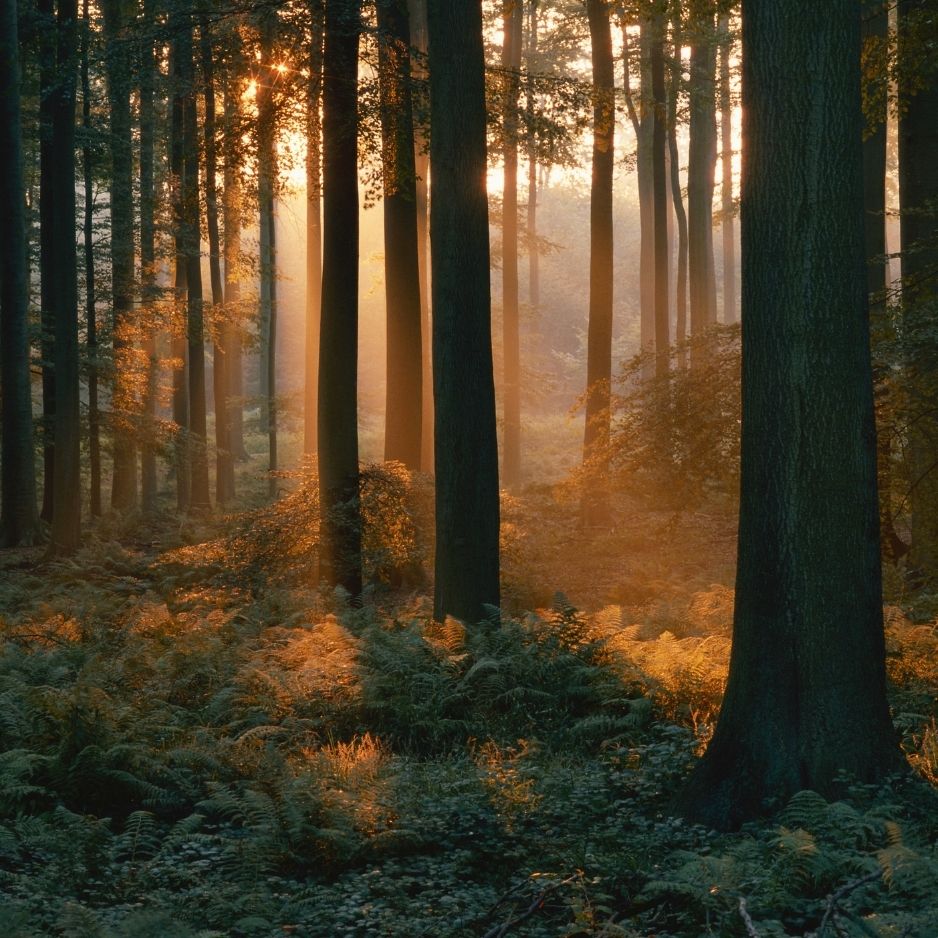 Ratkaisukeskeinen valmennus